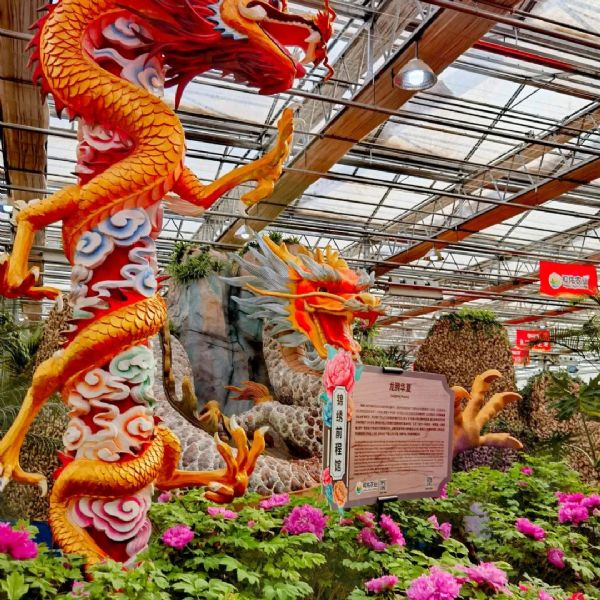 內(nèi)蒙古通遼和佑首屆農(nóng)業(yè)嘉年華