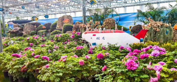 內蒙古通遼和佑首屆農(nóng)業(yè)嘉年華