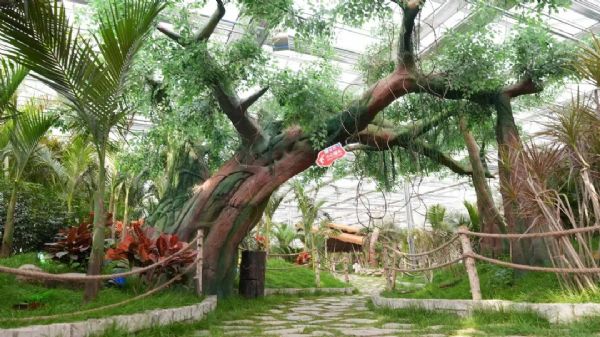 內(nèi)蒙古通遼和佑首屆農(nóng)業(yè)嘉年華