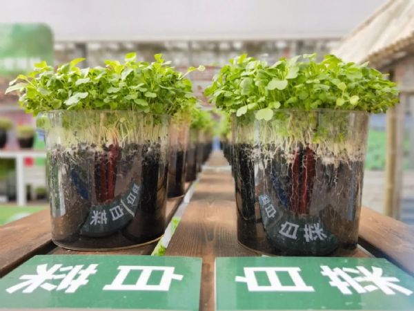 農(nóng)業(yè)觀光